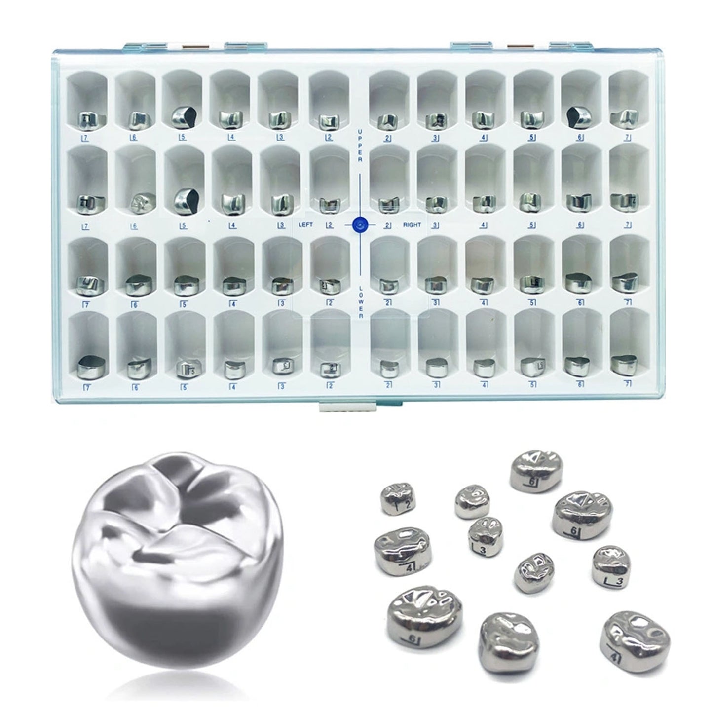 Dental Kids Crown Primary Molar Pedo Crowns Stainless Steel 48 Sizes